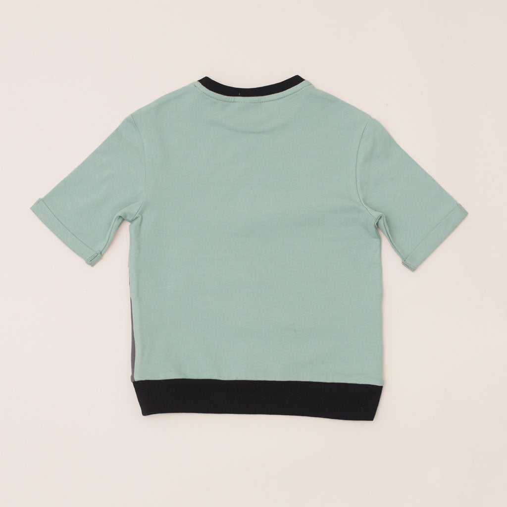 Type 1 Diabetes Clothing - Short Sleeve T-shirt Pistachio | Our Pocket Hero