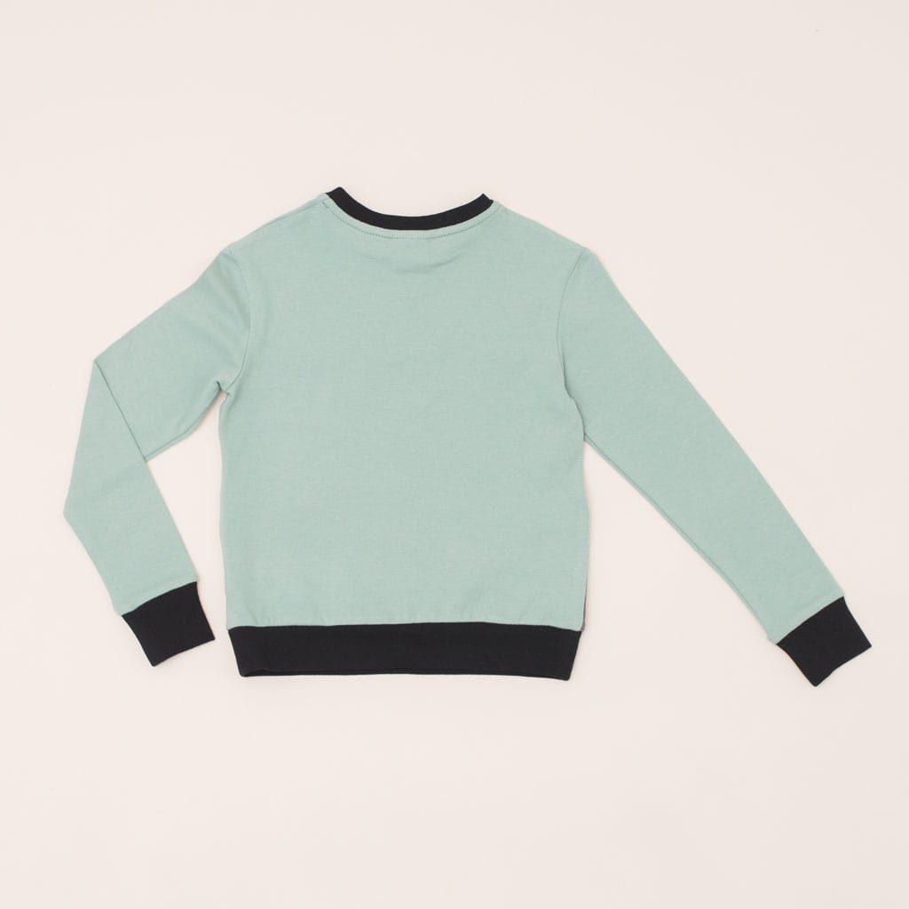 Type 1 Diabetes Clothing - Long Sleeve T-shirt Pistachio | Our Pocket Hero